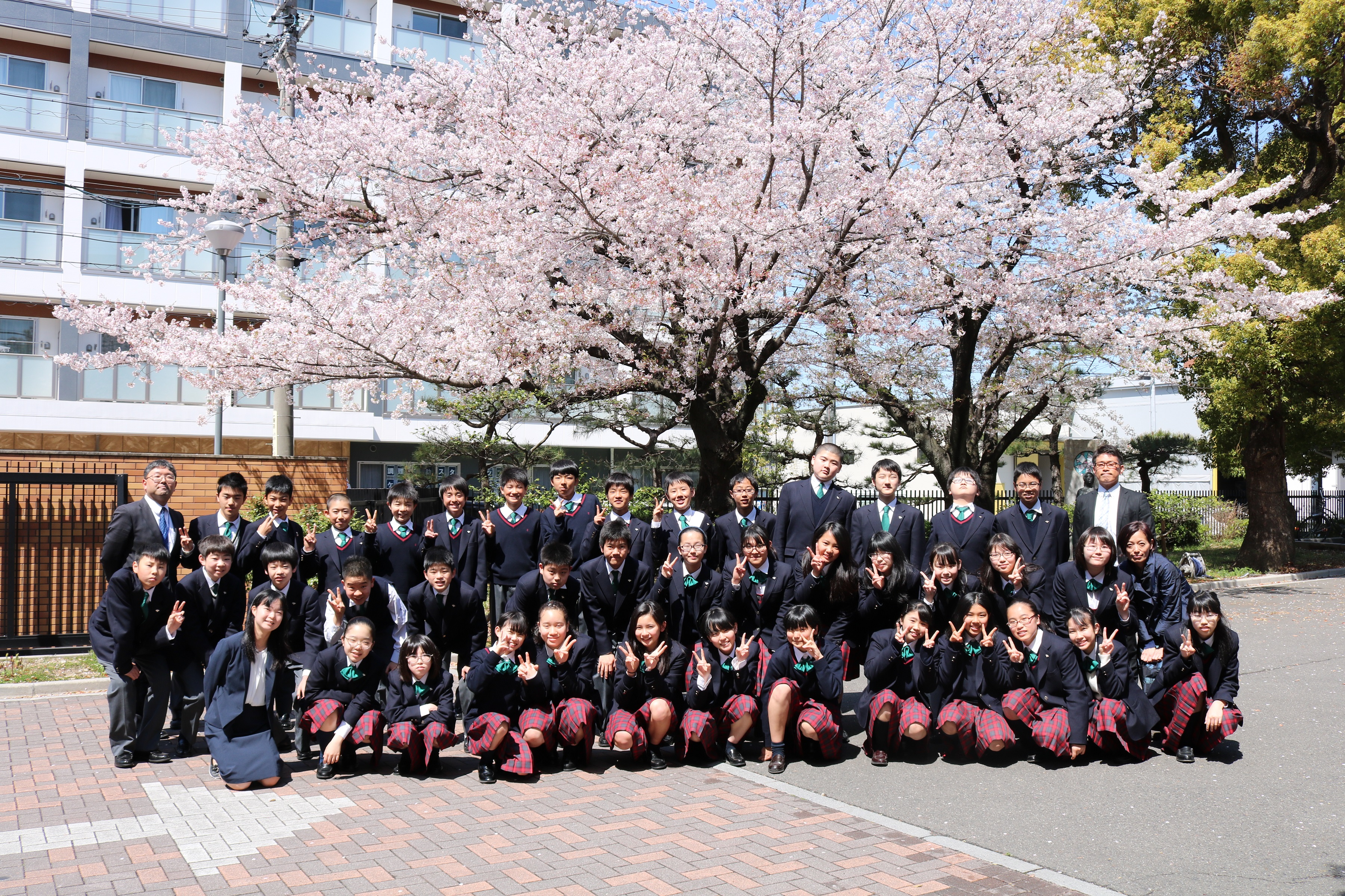 性合成明星李沁 明星合成斗转星移 合成图大陆明星 最新女明星合成图片 Www Shianwang Com